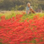 grandmother-dog-shiba-inu-photos-yasuto-19-5e3d178cf40d5__700