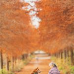 grandmother-dog-shiba-inu-photos-yasuto-2-5e3d175c9fe7c__700