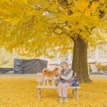 grandmother-dog-shiba-inu-photos-yasuto-21-5e3d17933e0aa__700