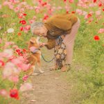 grandmother-dog-shiba-inu-photos-yasuto-25-5e3d179f55a0f__700
