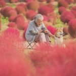 grandmother-dog-shiba-inu-photos-yasuto-41-5e3d17c92b142__700