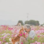 grandmother-dog-shiba-inu-photos-yasuto-42-5e3d17cc49c6b__700
