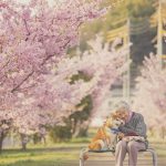 grandmother-dog-shiba-inu-photos-yasuto-47-5e3d17db2607b__700