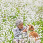 grandmother-dog-shiba-inu-photos-yasuto-51-5e3d17e61f03d__700