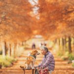grandmother-dog-shiba-inu-photos-yasuto-53-5e3d17ebbc73e__700