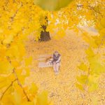 grandmother-dog-shiba-inu-photos-yasuto-56-5e3d17f4c646c__700