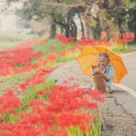 grandmother-dog-shiba-inu-photos-yasuto-60-5e3d1a0faee55__700