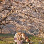 grandmother-dog-shiba-inu-photos-yasuto-63-5e3d1a726b739__700