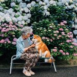 grandmother-dog-shiba-inu-photos-yasuto-66-5e3d1b5b8c433__700