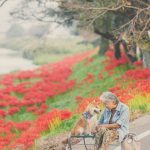 grandmother-dog-shiba-inu-photos-yasuto-9-5e3d1772351c6__700