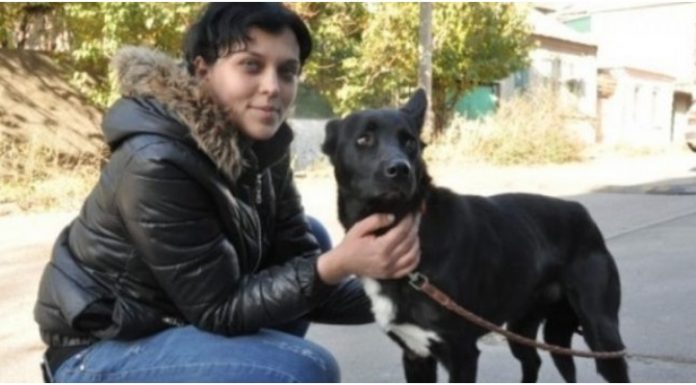 Cachorrinho caminha 322 quilômetros para reencontrar a mulher que salvou sua vida