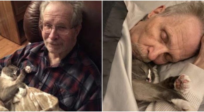 Gatinho amoroso passa o dia todo confortando seu papai com Alzheimer