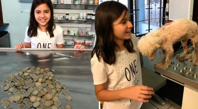 Menina gasta todas as suas economias para salvar cachorro doente e abandonado