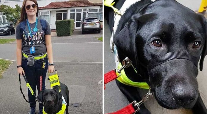 Jovem cega é pressionada por passageira para sair de ônibus por seu cão-guia ser negro